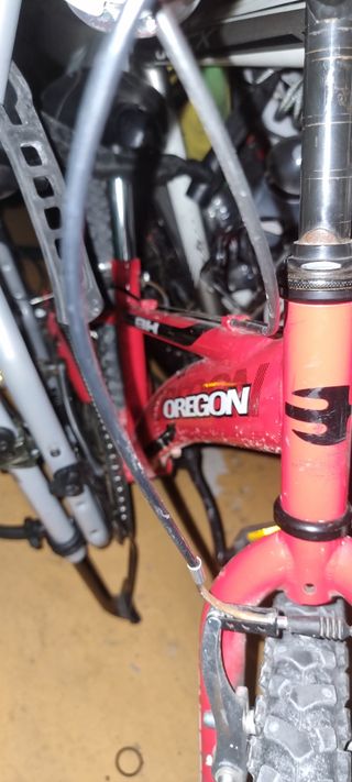 Bicicleta BH Oregon 20 pulgadas 