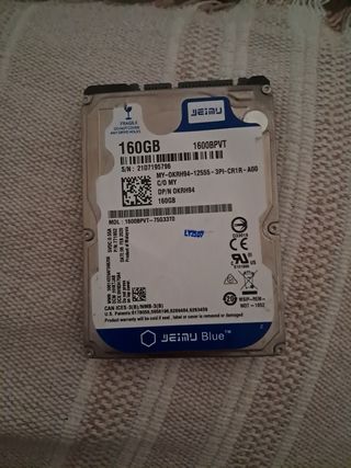 Disco rigido WD da 160 GB