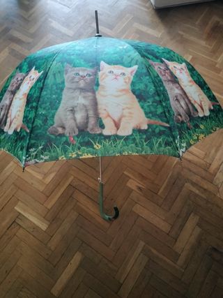 Paraguas divertido con gatitos