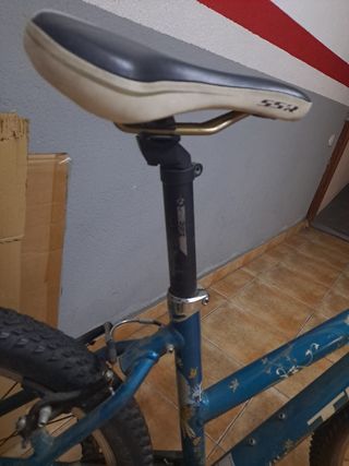 Bicicleta Trek montaña