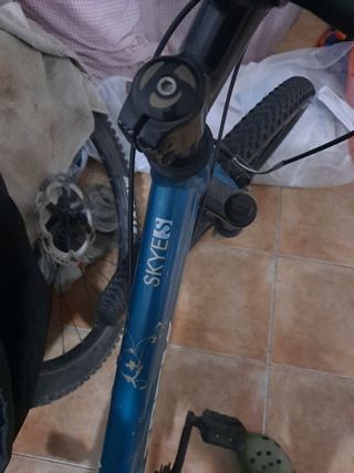 Bicicleta Trek montaña