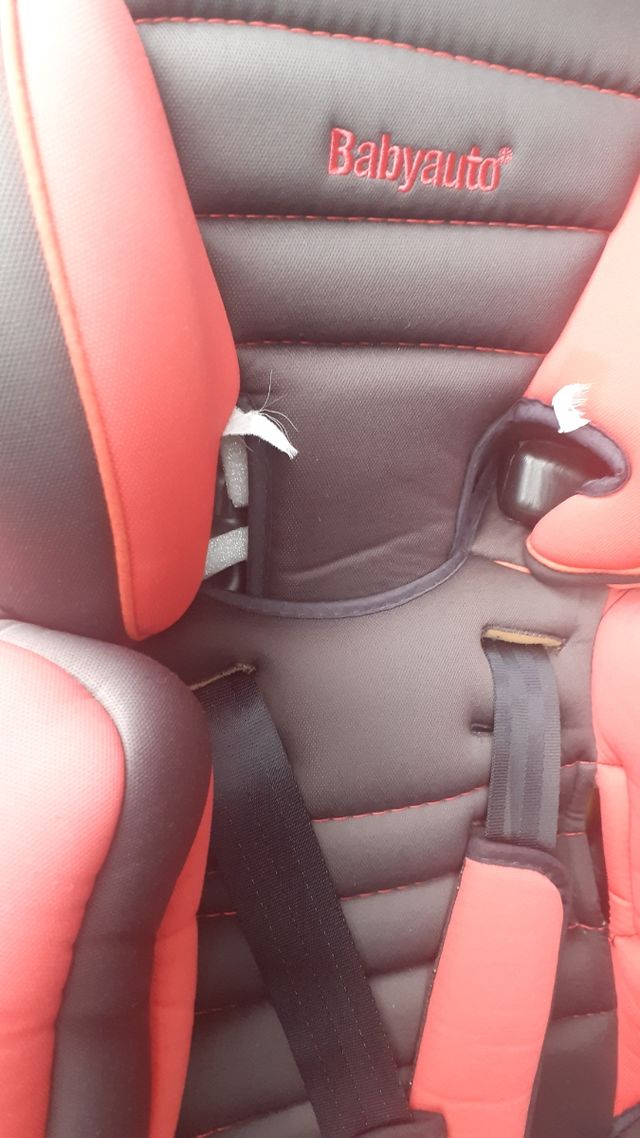 Sella de coche 