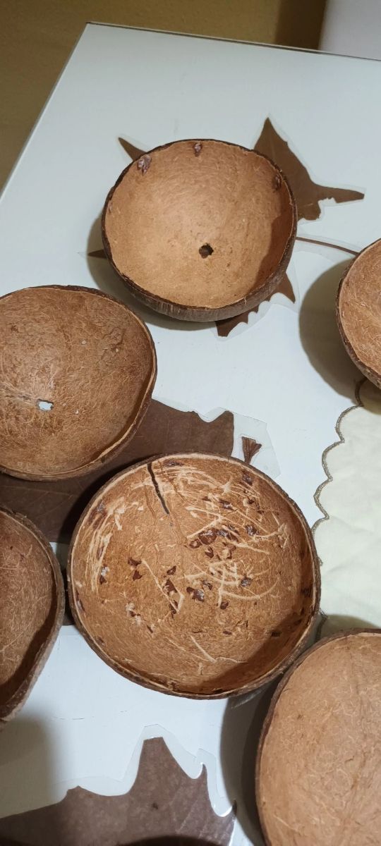 Mitades de Coco Naturales