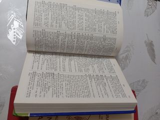Diccionario griego clásico español y latino españo