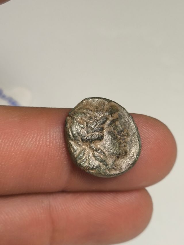 Moneda Griega Seleucida Antiochos II