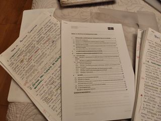 Apuntes Política Económica Española