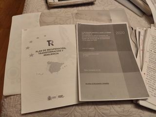 Apuntes Política Económica Española