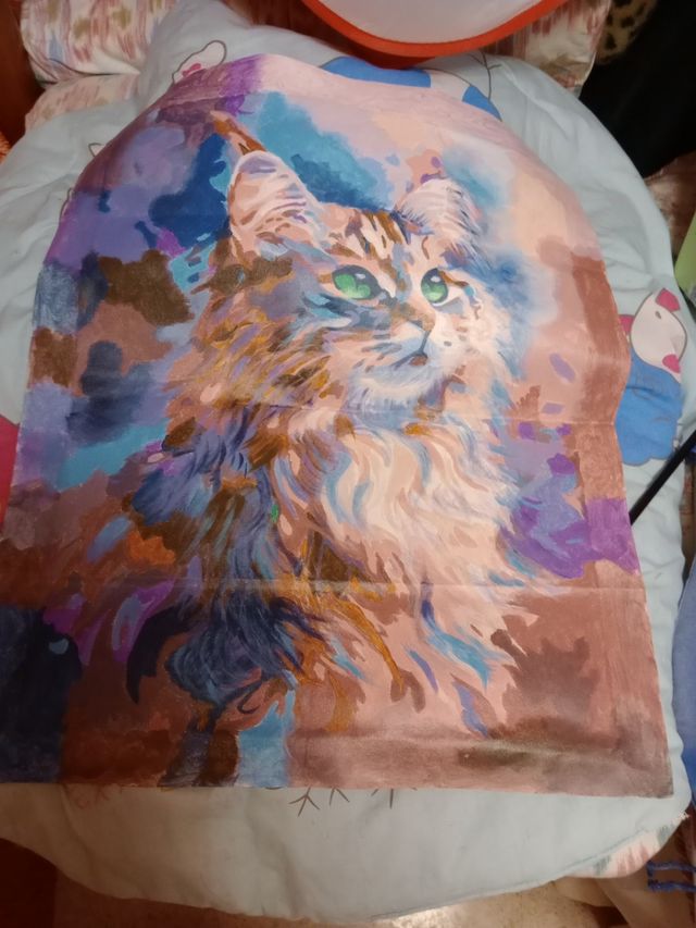 Lienzo acrílico de gato