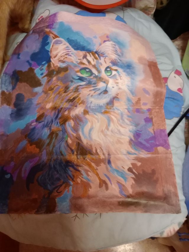 Lienzo acrílico de gato