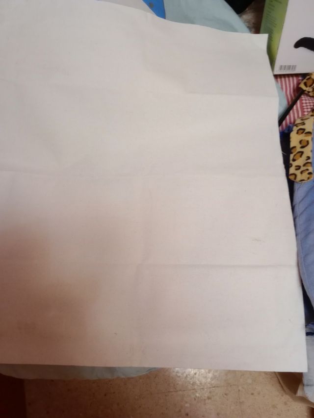 Lienzo acrílico de gato