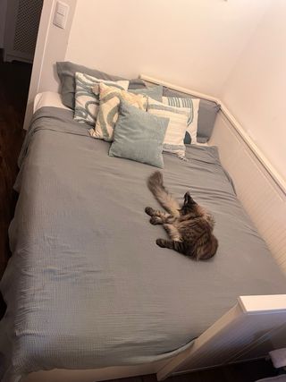 Cama nido Ikea HEMNES con 2 colchones de 80 