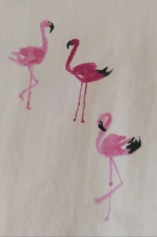 Camisa con estampado de flamencos