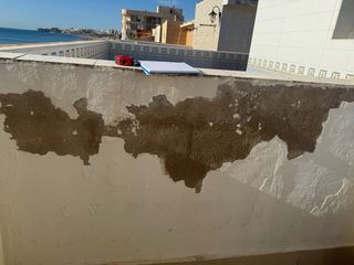 pintor profecional