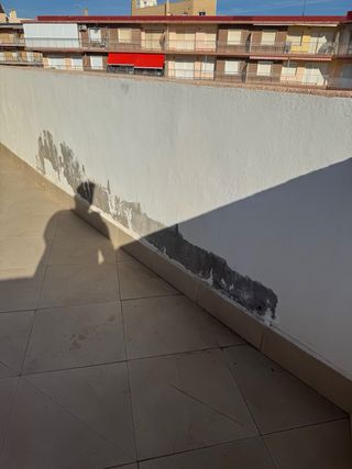 pintor profecional