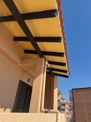 pintor profecional