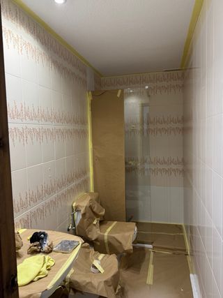 pintor profecional