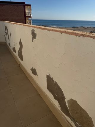 pintor profecional