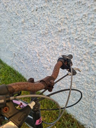 Bicicleta B-Pro | JR 24