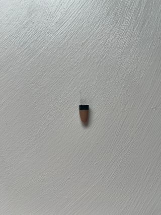 Pinganillo + Camara de boton