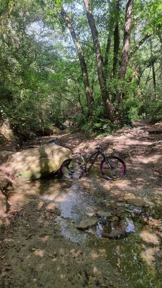 Specialized Stumpjumper Evo Carbon 2020