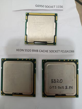 Micro Intel Xeon 5520 8MB,  G6950 Y XEON 3040