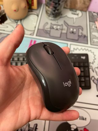 Teclado y ratón Logitech Silent Touch