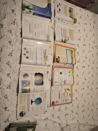 Lote libros. 4 Primaria. Savia Castilla la mancha
