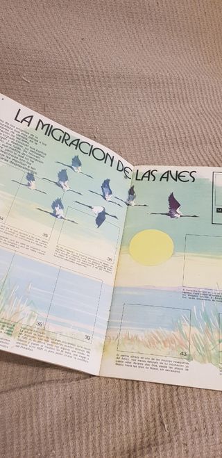 El libro de las adivinanzas 2, de Bimbo.