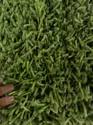 Alfombra verde mullida