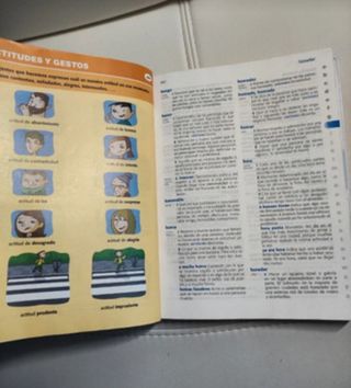 Diccionario de Primaria (Spanish Edition)