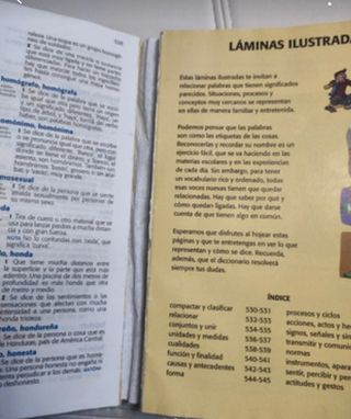 Diccionario de Primaria (Spanish Edition)