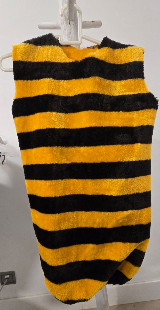 Disfraz de abeja