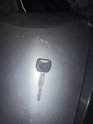 Bauletto SH 300 elettronico, leggi bene