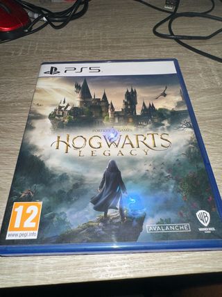 Hogwarts Legacy PS5