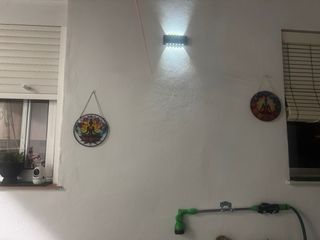 Estancia días sueltos o semanal para  Animales