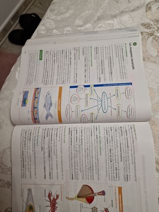 Biología, Geología y Ciencias Ambientales 1.