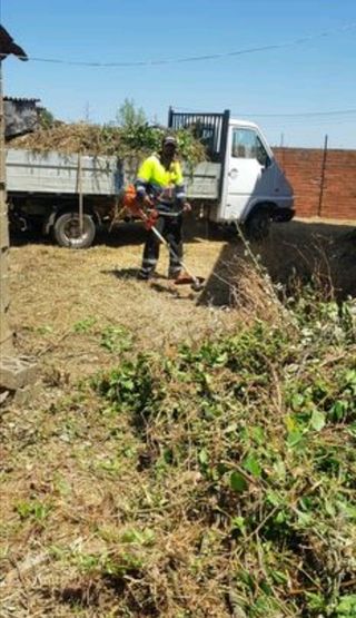 Jardinero profesional