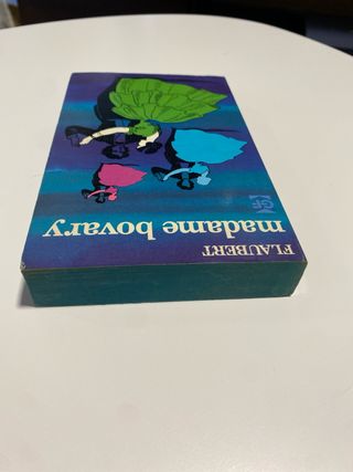 Libro Madame Bovary en francés