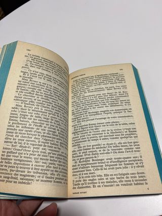 Libro Madame Bovary en francés