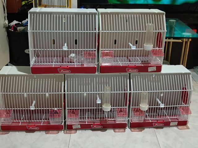 Jaulas para pájaros - Set de 5