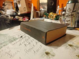 La scimmia di pietra