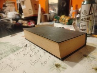 La scimmia di pietra