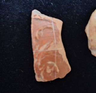 Aguila Legionaria de sigilata marron!Siglo I dc!