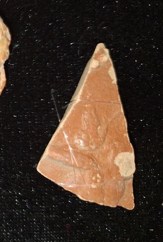 Aguila Legionaria de sigilata marron!Siglo I dc!