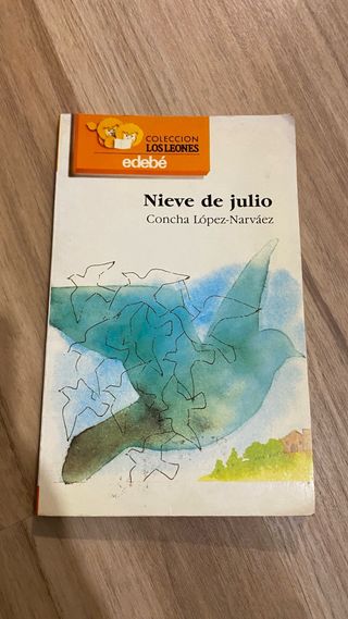 Libros Historias Secretas Espacio y Nieve de Julio
