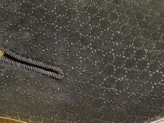 Mocassini neri Aldo nuovi