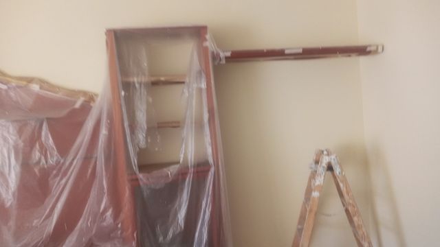 Reformista profesional