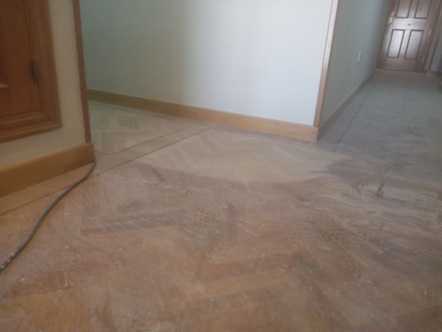 Reformista profesional