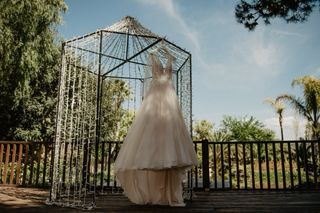 Vestido de Novia Pronovias Melocotón