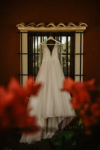 Vestido de Novia Pronovias Melocotón